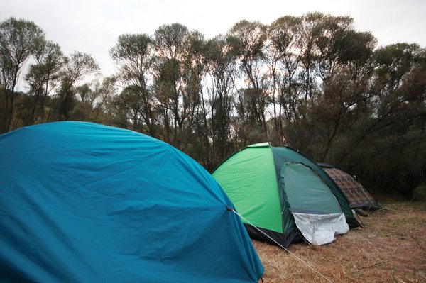Découvrez pourquoi le camping kérantérec en bretagne est idéal pour vos prochaines vacances